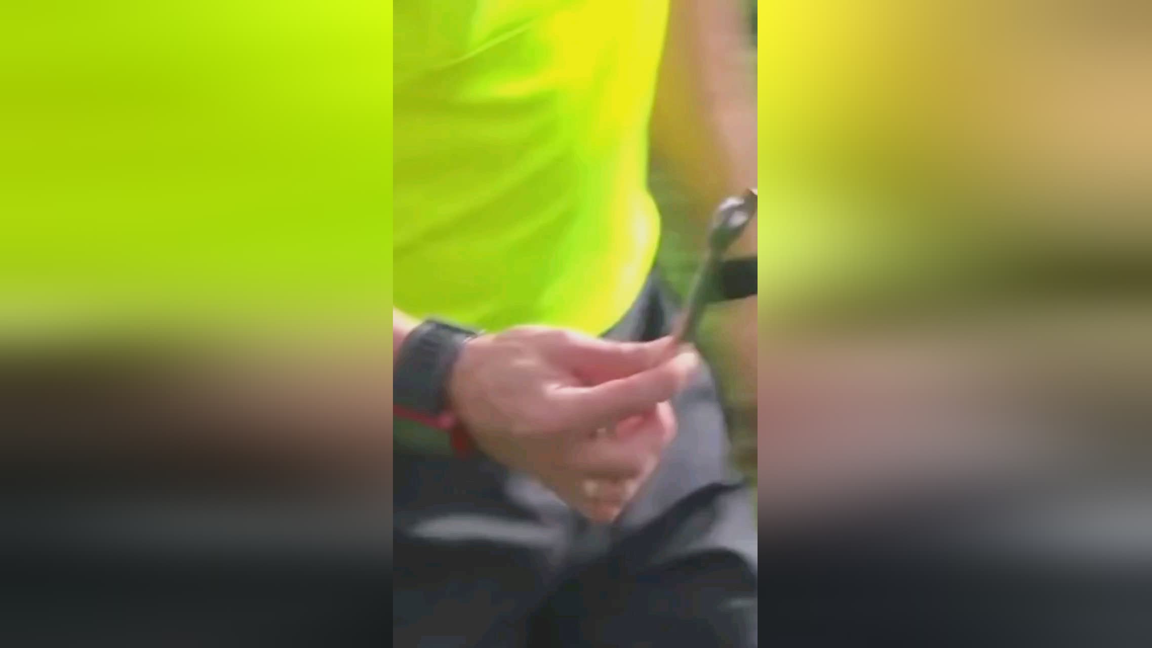 反映在数据